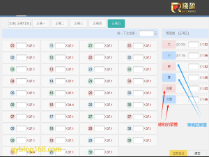 雙面總和